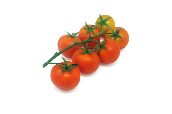 Tomatoe 2 — Stock Photo, Image