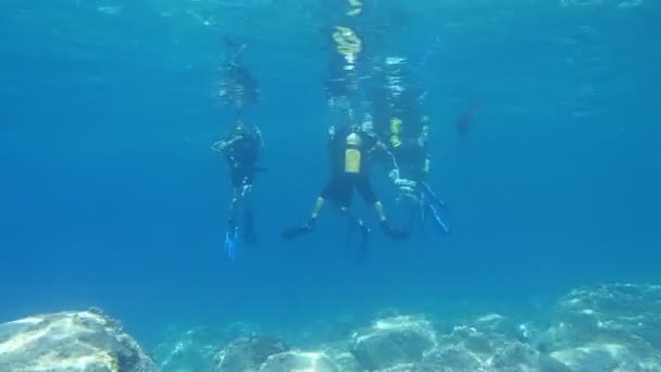 Buceo de buceo — Vídeo de stock