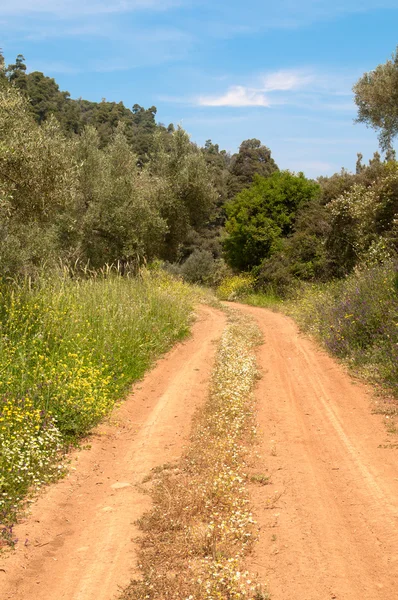 Track — Stock Photo, Image