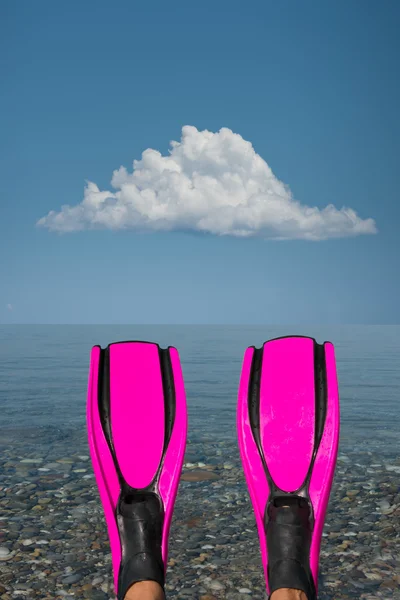 ピンクのフィン — ストック写真