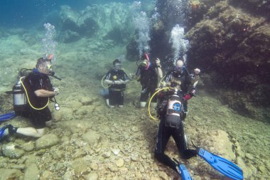 Scuba diver kursu
