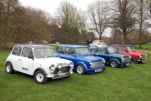 Minis. — Foto de Stock