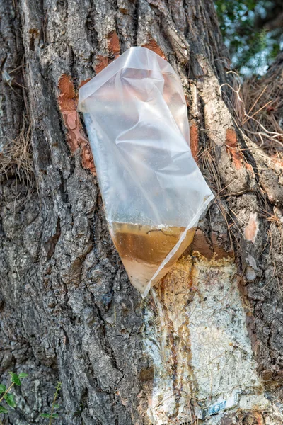 Resin Bag — Stock Photo, Image