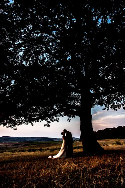 結婚式風景 ロイヤリティフリーのストック画像