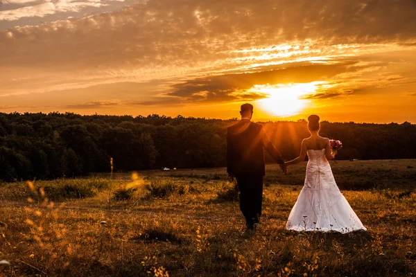 Paesaggio matrimonio Immagine Stock