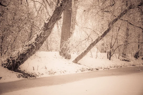 Der Winter 2014 ist schön — Stockfoto