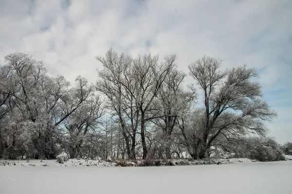 冬天是个美丽 2014 年 — 图库照片