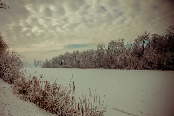 El invierno es hermoso en 2014 —  Fotos de Stock