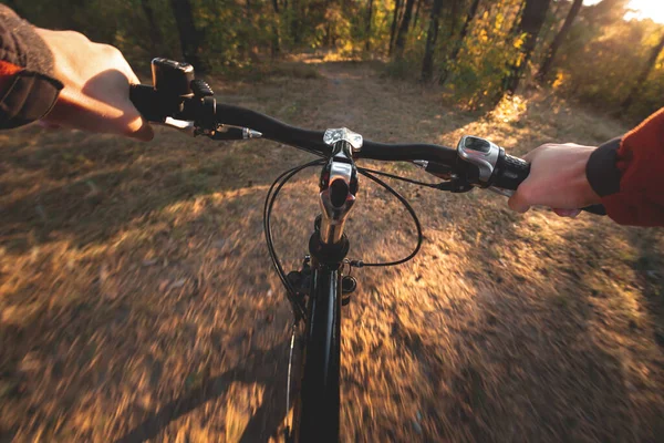 Ride a bike in the first person. Driving a bike in the autumn forest