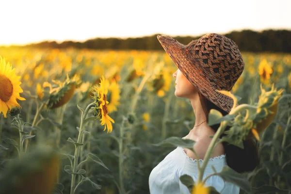 Young Girl White Dress Hat Field Sunflowers Sunset Portrait Woman — стоковое фото