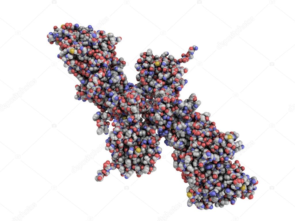 breast cancer susceptibility gene brca2 Teen torture teen