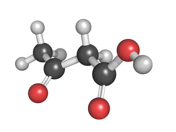 Ketone body (acetoacetic acid), molecular model Royalty Free Stock Images