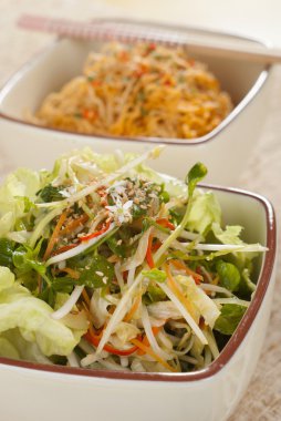 mikro yeşillikleri salatası