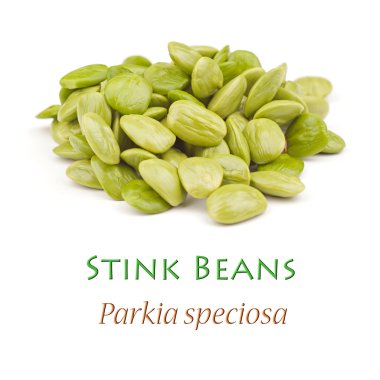 Stink Beans also known as Petai clipart