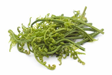 yenilebilir bracken - pucuk paku