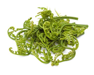 pucuk paku - yenilebilir bracken