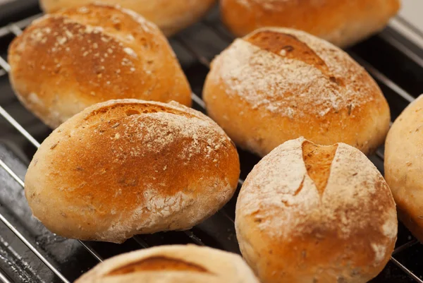 Vers gebakken broodjes — Stockfoto