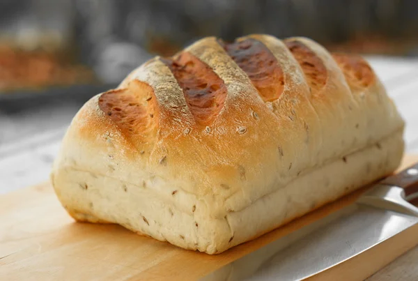 Huisgemaakte komijn brood — Stockfoto