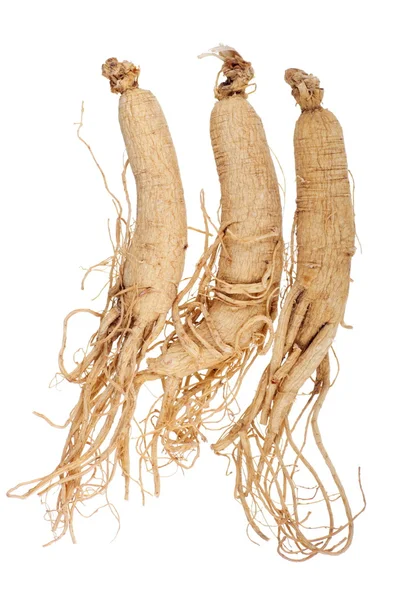 Ginseng coreano essiccato — Foto Stock