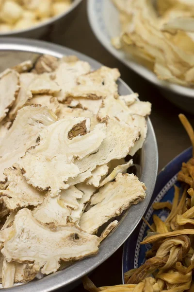 Angelica sinensis ou Ginseng Feminino — Fotografia de Stock