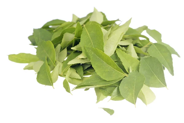 Fresh Curry Leaves Non sharpen file — Stock Photo, Image