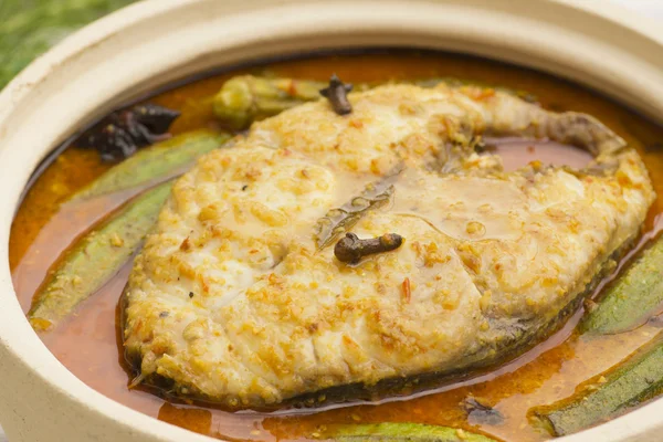 Curry Fish em Claypot — Fotografia de Stock