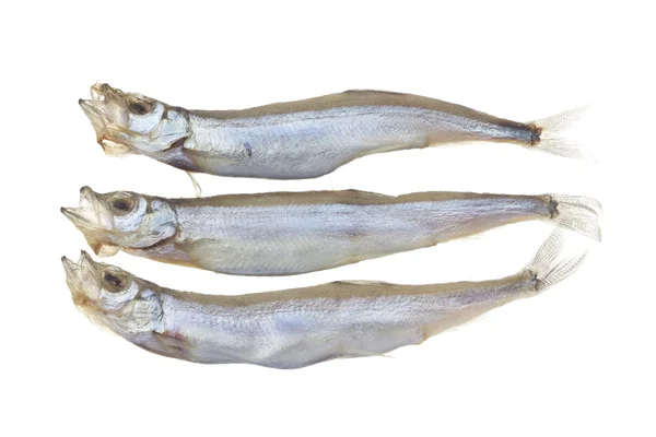 Shishamo o Willow Leaf Fish —  Fotos de Stock