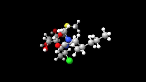 抗生物質クリンダマイシンのアニメーション3Dボール スティックと空間充填モデル 黒の背景 — ストック動画