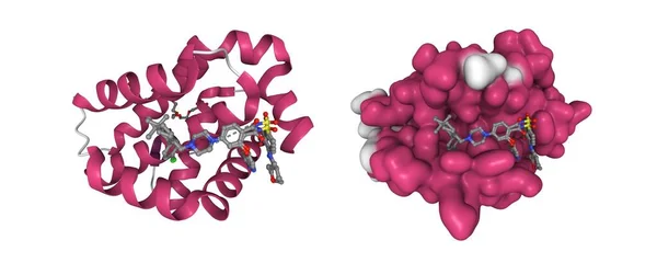 Crystal Structure Bcl Venetoclax Cartoon Gaussian Surface Models Secondary Structure — Stock Photo, Image