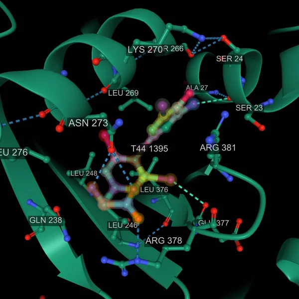 Tiroxin Kötő Globulin Komplex Aktív Helyének Szerkezete Tiroxinnal Jelzett Kölcsönhatásban — Stock Fotó