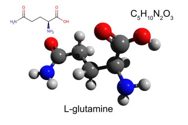 Kimyasal formül, iskelet formülü ve L-glutaminin 3 boyutlu top ve sopa modeli, gerekli olmayan amino asit, beyaz arkaplan