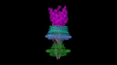 Salmonella 'daki kırbaç motor kancası kompleksinin kriyo-EM yapısı. Animasyon 3D karikatür ve Gauss yüzey modelleri, PDB 7cgo, siyah arkaplan