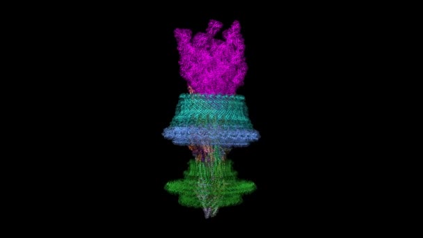 サルモネラ菌の鞭毛モーターフック複合体のクライオEm構造 アニメーション3D漫画やガウス表面モデル Pdb 7Cgo 黒の背景 — ストック動画
