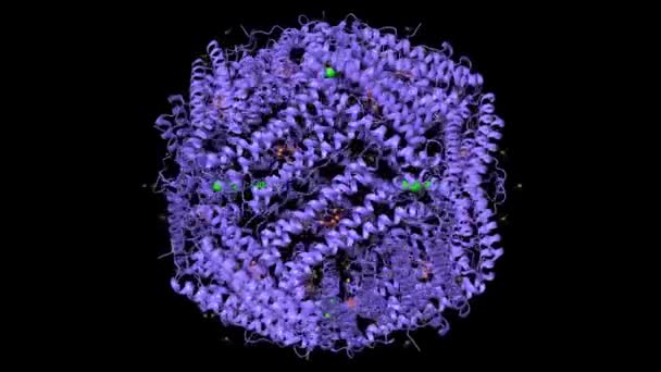 含有铁 离子的人类铁蛋白 动画3D卡通和高斯曲面模型 Pdb 4Y08 黑色背景 — 图库视频影像