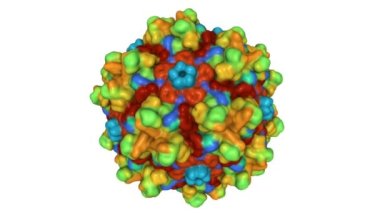 Boş AAV12 Capsid. Canlandırılmış 3D Gauss yüzey modeli, seri numarası renk şeması, PDB 7l6b, beyaz arkaplan