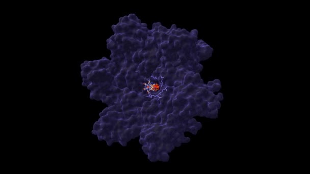 Hiv 抗ウイルス薬であるAztと複合体を形成するポリタンパク質検査装置である 垂直予測におけるアニメーション3D漫画やガウス表面モデル Pdb 6Erm 黒の背景 — ストック動画