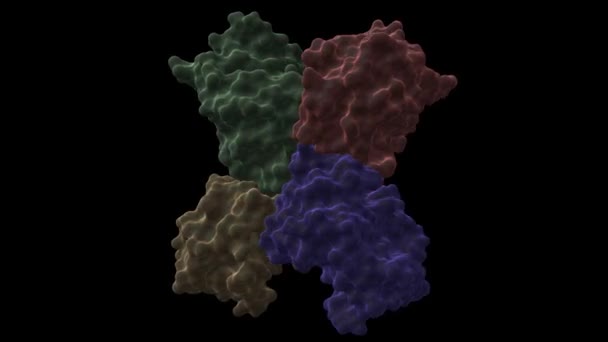 Structuur Van Streptokokkenpyrogeen Exotoxine Spea Tetrameer Geanimeerde Cartoon Gaussiaanse Oppervlaktemodellen — Stockvideo