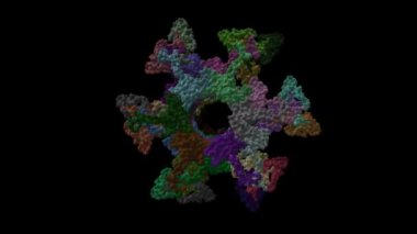 Siphophage p2 virion baz levhasının dinlenme-aktifleştirilmiş konformasyonlardaki topolojik modeli. Animasyon 3D karikatür ve iki dik projeksiyonlu Gauss yüzey modelleri, PDB 6zih-6zjj