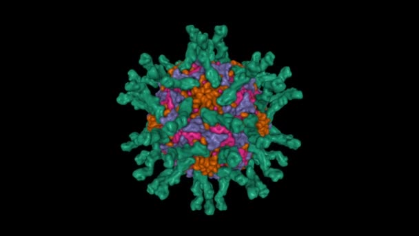 Cryo Structure Human Poliovirus Serotype Complexed Three Domain Cd155 Green — Stockvideo