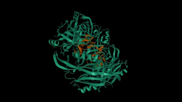 由Dna寡核苷酸 产生的埃博拉病毒Vp40八溴环 动画3D卡通模型 Pdb 7K5D 黑色背景 — 图库视频影像