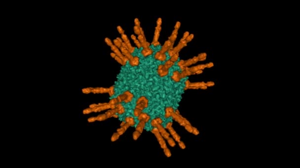 Cryo Structure Head Mature Bacteriophage Phi29 Animated Gaussian Surface Model — Video Stock