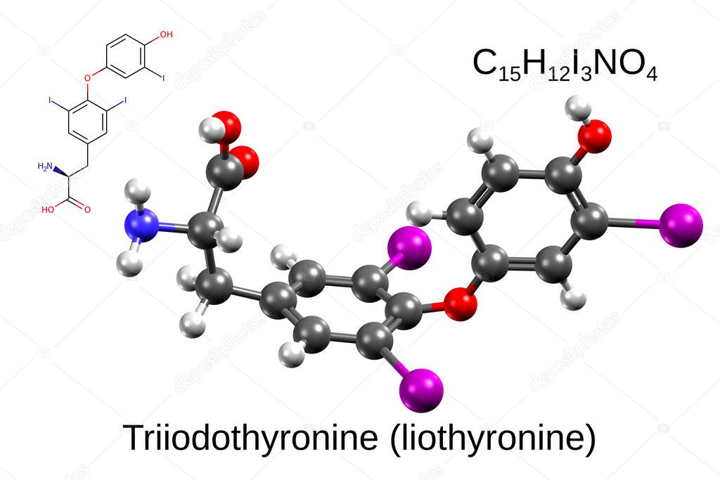 Chemical formula, skeletal formula and 3D ball-and-stick model of human thyroid hormone, triiodothyronine, white background