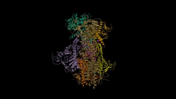 ヒトPaicsの構造は 純粋な生合成における二つの機能性カルボキシラーゼと合成酵素である アニメーション3D漫画モデル Pdb 2H31 黒の背景 — ストック動画