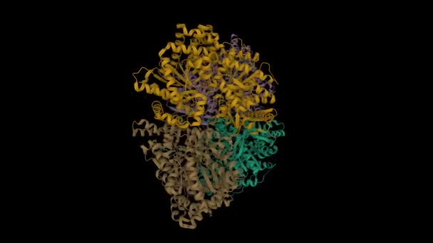 Struktur Der Menschlichen Gehirnglykogen Phosphorylase Animiertes Cartoon Modell Pdb 5Iko — Stockvideo