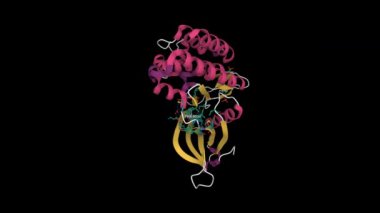 Delgocitinib ile kompleksli JAK3 yapısı. Canlandırılmış 3D çizgi film modeli, ikincil yapı renk şeması, PDB 7c3n, siyah arkaplan