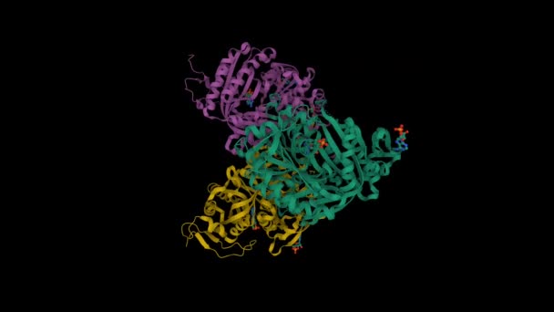 人可溶性腺苷环化酶与腺苷环磷酸腺苷的结构 动画3D卡通和高斯曲面模型 Pdb 3Clt 链式实例色彩方案 黑色背景 — 图库视频影像