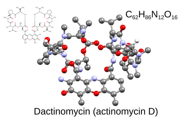 Chemický Vzorec Kosterní Vzorec Ball Stick Model Chemoterapeutického Léku Dactinomycin — Stock fotografie