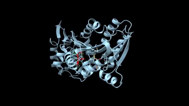 ヒスタミンメチル転移酵素は 抗ヒスタミン薬ジフェンヒドラミン で複雑になります アニメーション3D漫画やガウス表面モデル Pdb 2Aot 黒の背景 — ストック動画