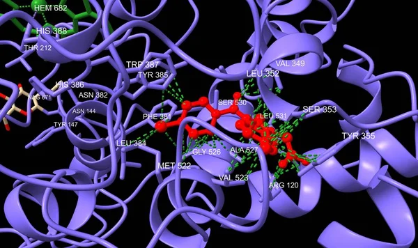 Ciklooxigenáz Nem Szelektív Inhibitorhoz Indometacinhoz Vörös Kötődik Kölcsönhatásba Lépő Szermaradékokat — Stock Fotó