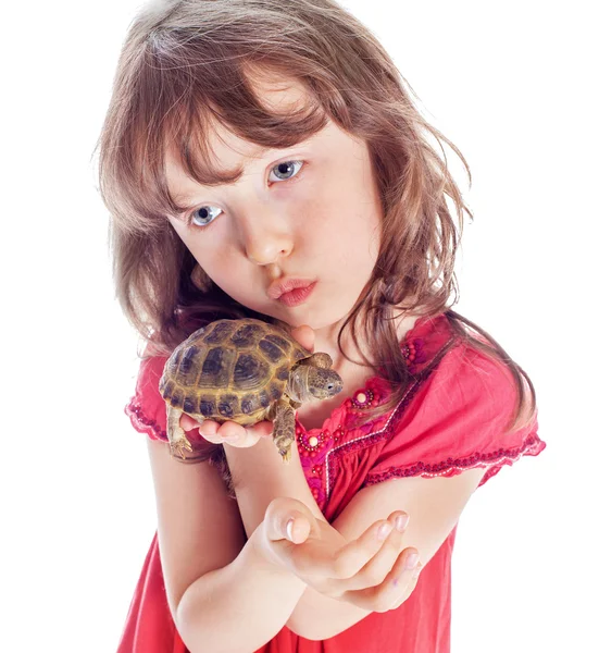 A menina com uma tartaruga — Fotografia de Stock